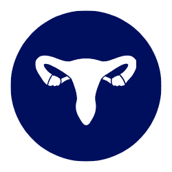 Gynaecology gynaecology-womens-health-nutraceutical-supplement-icon-mdpl-india.png Gynaecology women's health nutraceutical supplement MDPL India