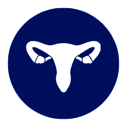 Gynaecology gynaecology-womens-health-nutraceutical-supplement-icon-mdpl-india.png Gynaecology women's health nutraceutical supplement MDPL India